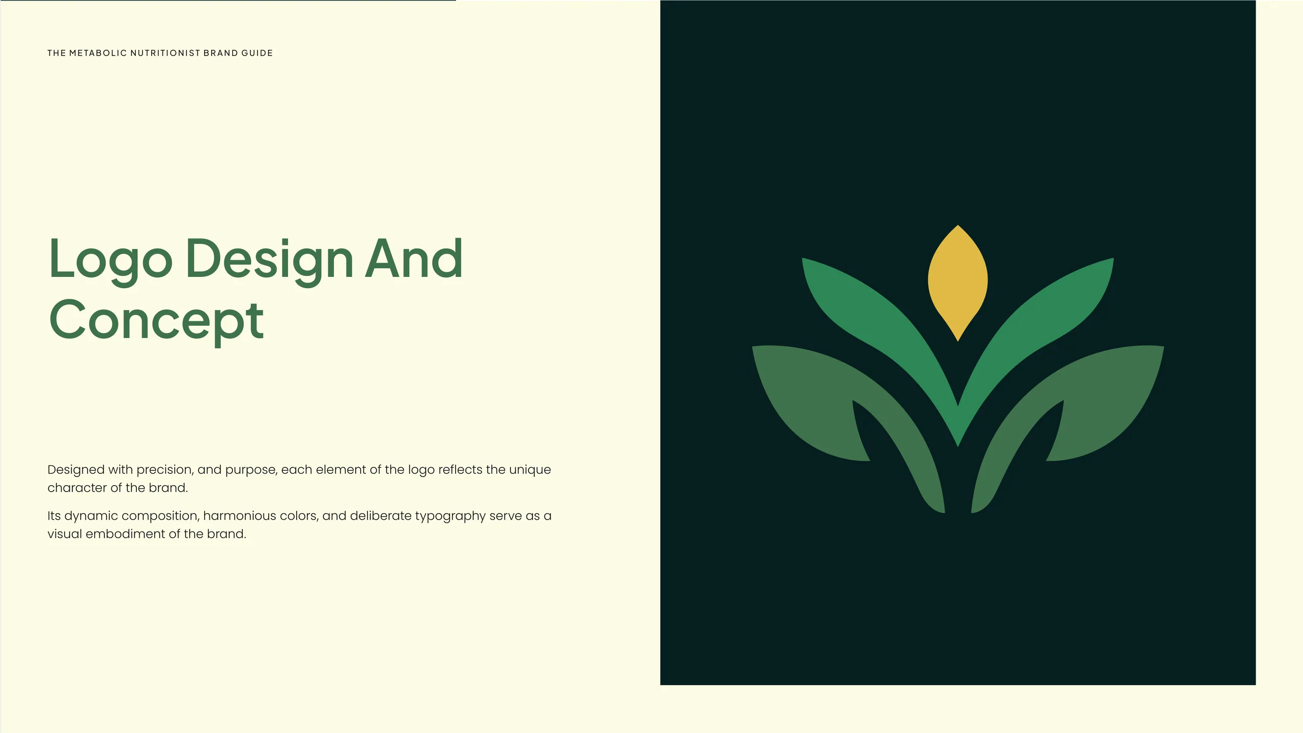 TMN brand identity 3